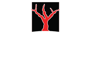 Fondo Antico