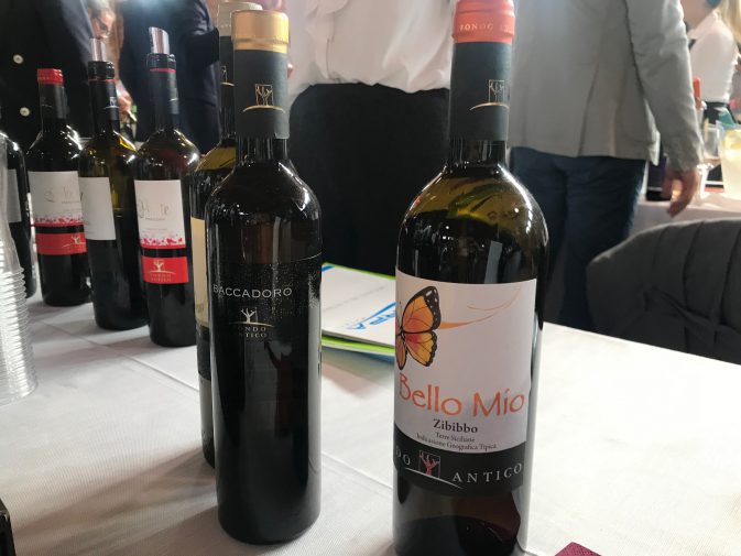 Avvinando Wine Fest 2019 – Wining.it