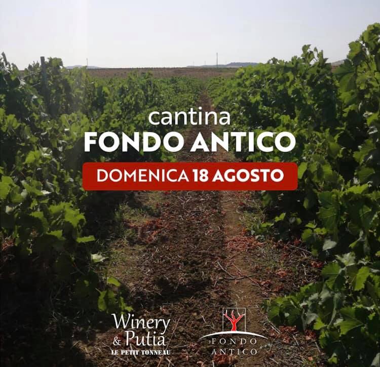 WineTasting Fondo Antico – Winery&Putia Le Petit Tonneau a Cefalù (PA)