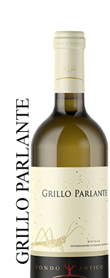 grillo-parlante-fondo-antico